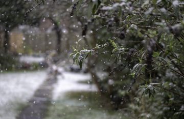 Alerte ORANGE neige-verglas